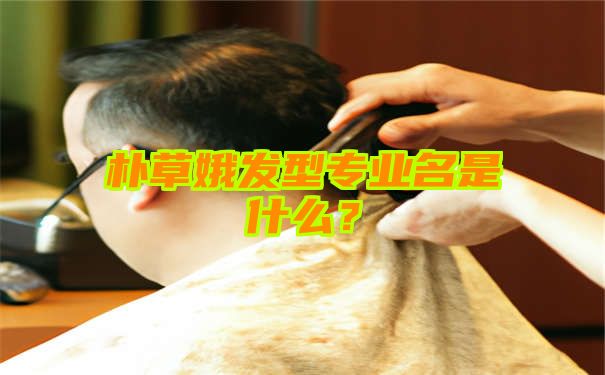 朴草娥发型专业名是什么？