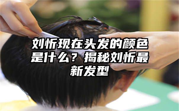 刘忻现在头发的颜色是什么？揭秘刘忻最新发型