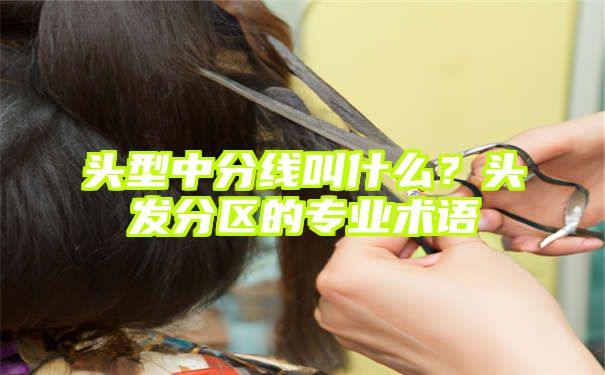 头型中分线叫什么？头发分区的专业术语