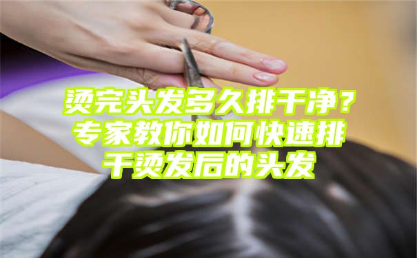 烫完头发多久排干净？专家教你如何快速排干烫发后的头发