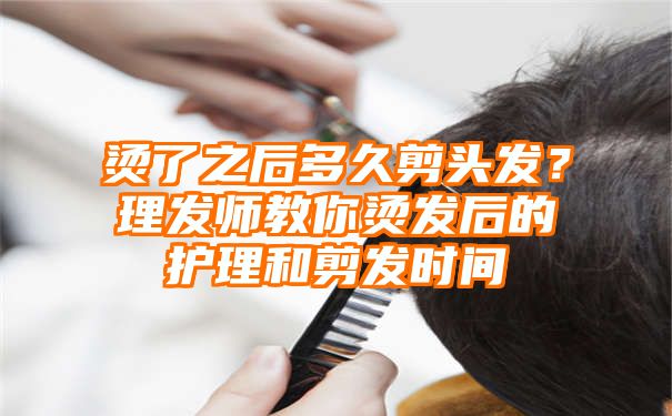 烫了之后多久剪头发？理发师教你烫发后的护理和剪发时间