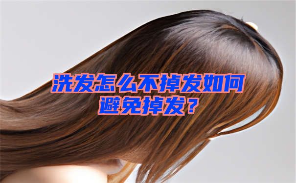 洗发怎么不掉发如何避免掉发？